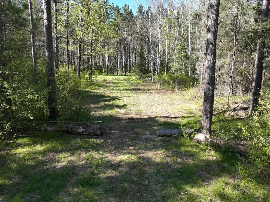 Picture 31