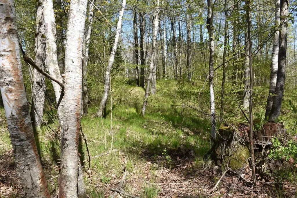 Picture 16