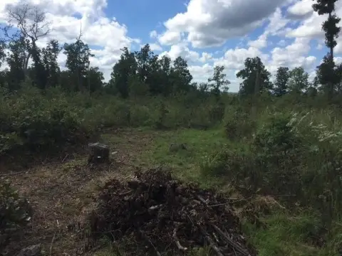 Ozarks Acreage Getaway Opportunity