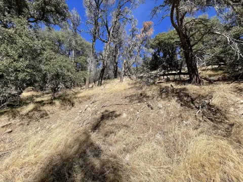 Mountain Retreat in Tehachapi