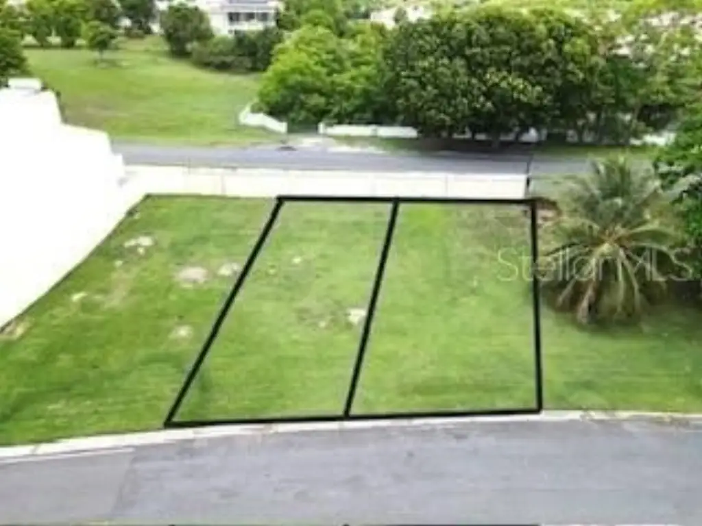 Picture 4