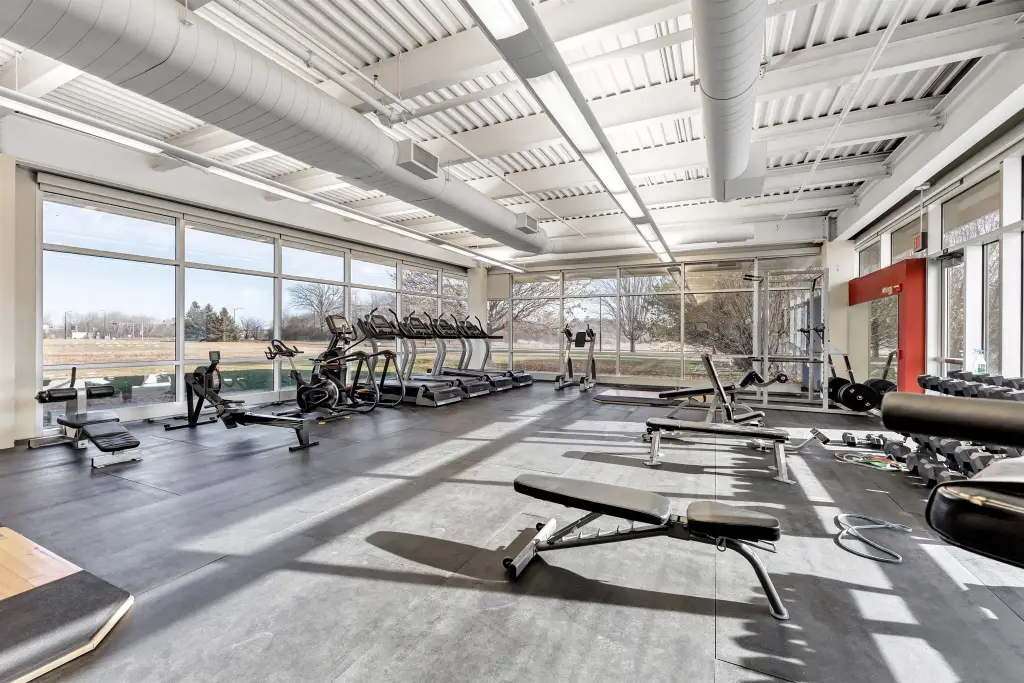 Picture 20