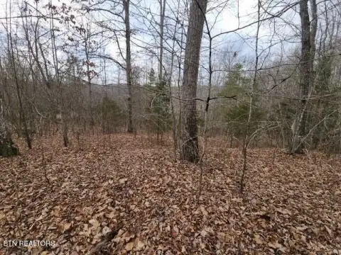Wooded Lot Near Norris Lake