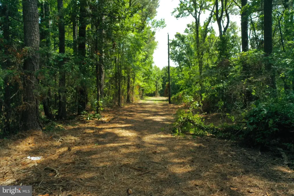 Picture 30