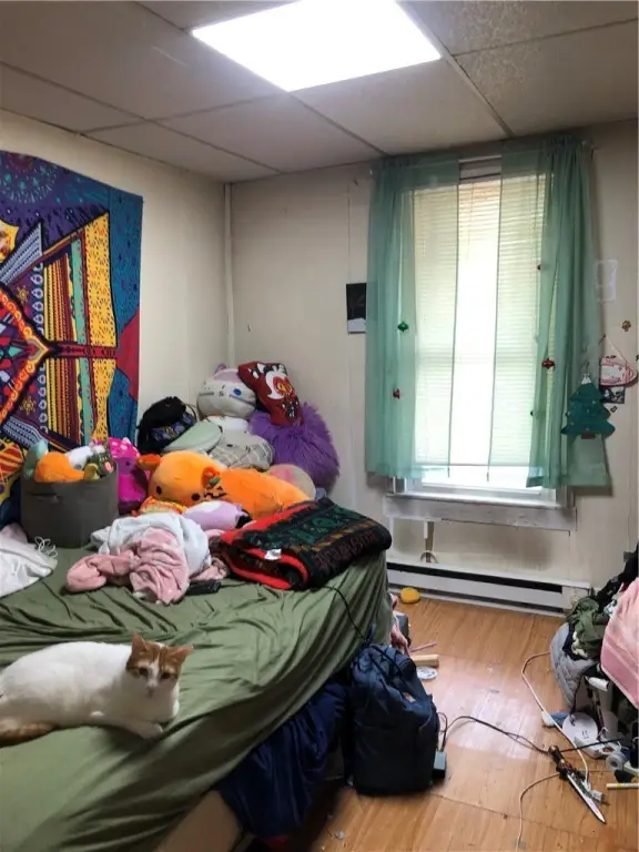 Picture 27