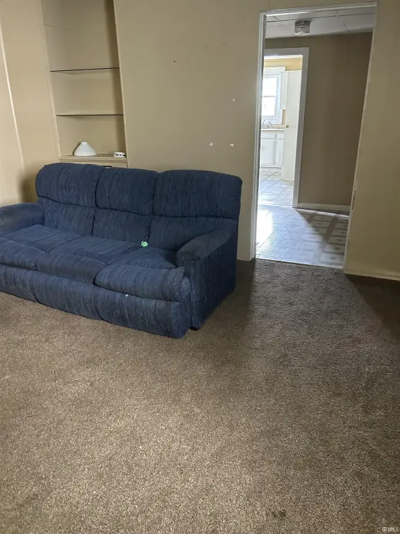 Picture 3