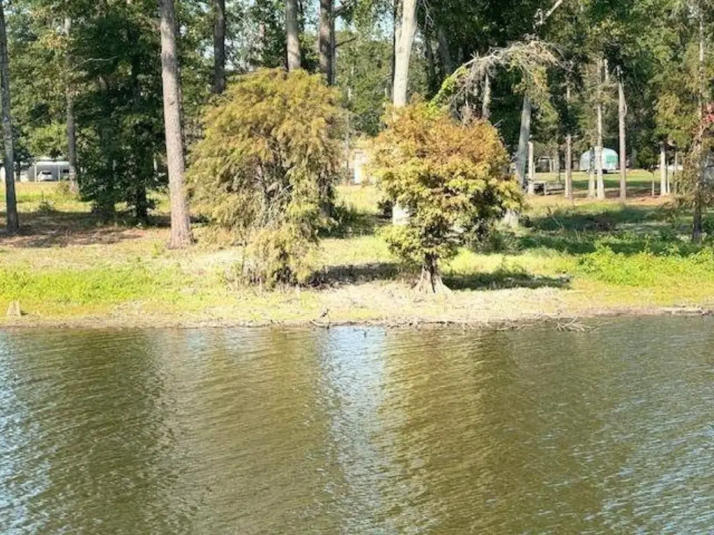 Picture 33