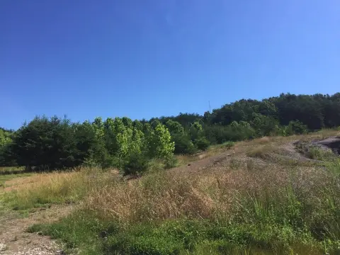 Sandy Hook Vacant Land Opportunity