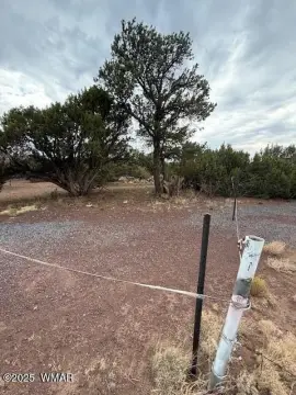 Concho, AZ Land For Sale