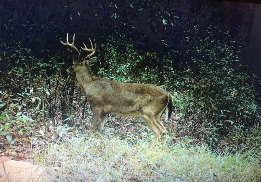 Picture 16