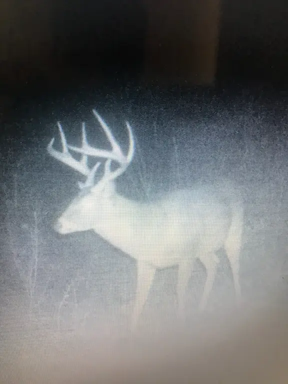Picture 12
