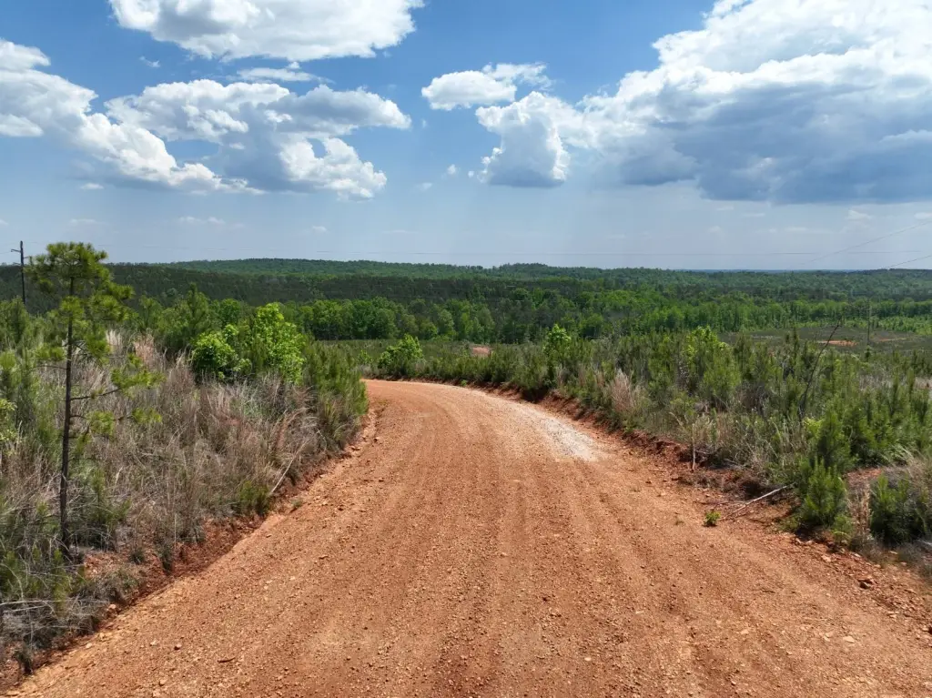 Picture 20