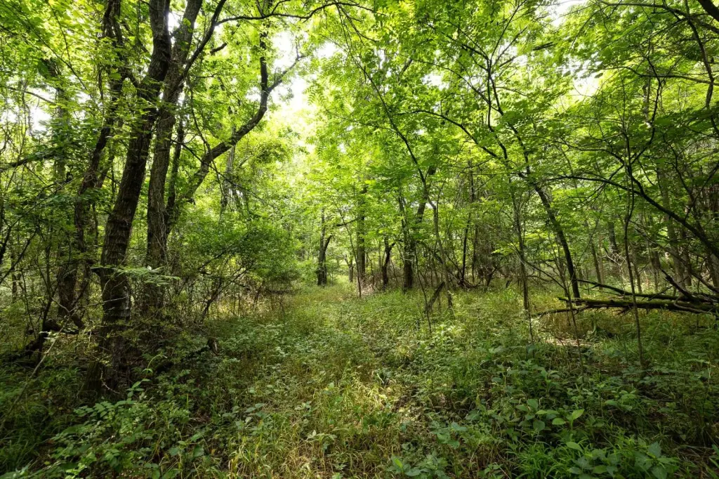 Picture 33