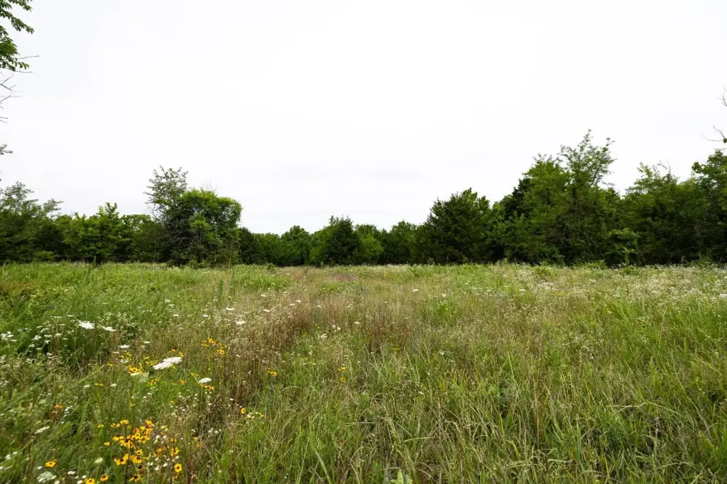 Picture 6