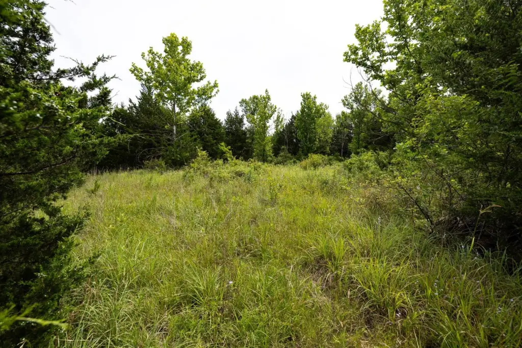 Picture 19