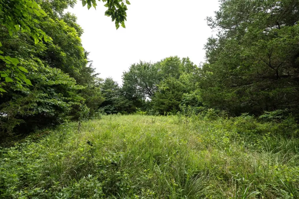 Picture 44