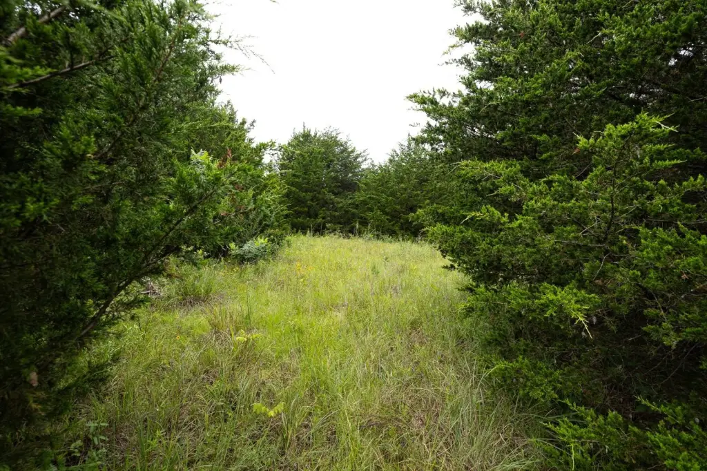 Picture 8