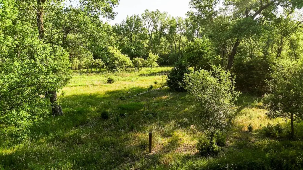 Picture 19