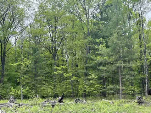 Wooded Land Near State Land