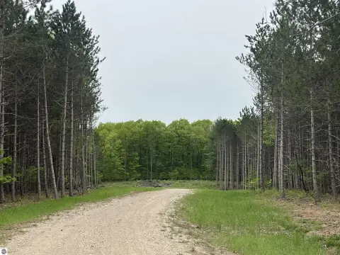 Traverse City Wooded Land Parcel