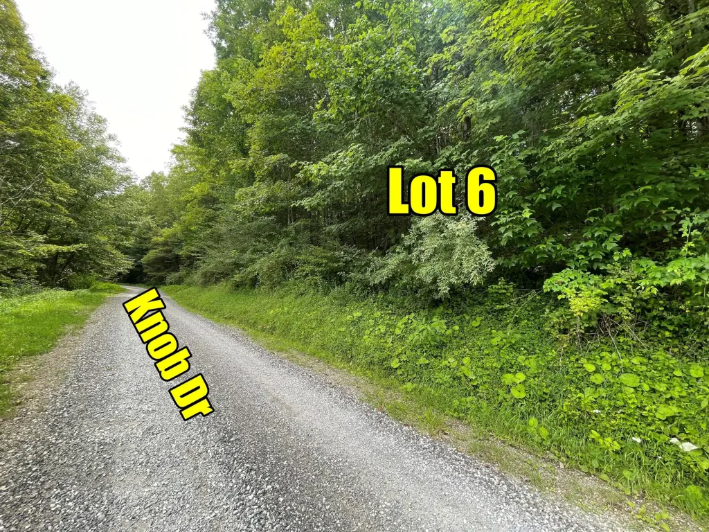 Picture 8