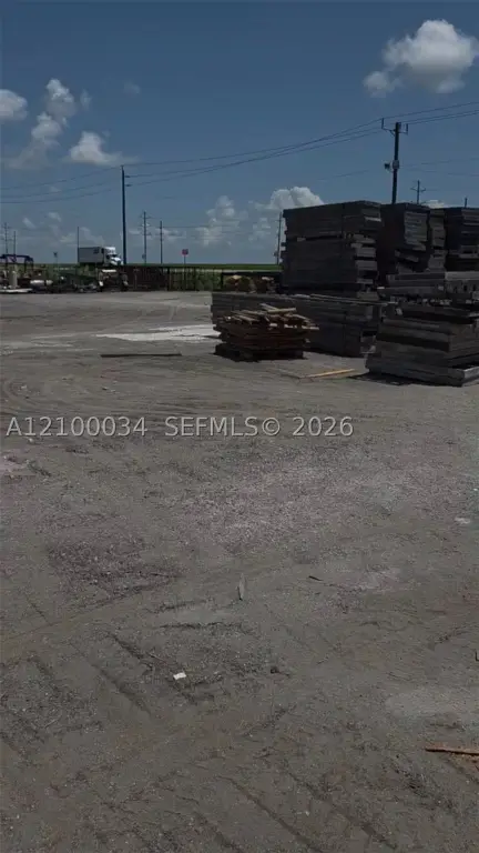 Picture 5