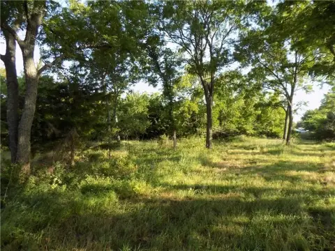 32 Acres in Chippewa Hills