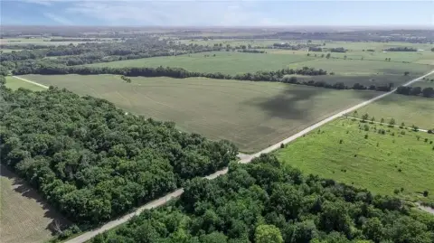 157 Acre Farm Opportunity