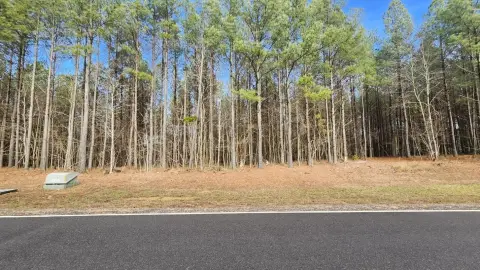 Residential Homesite with Ravine Views