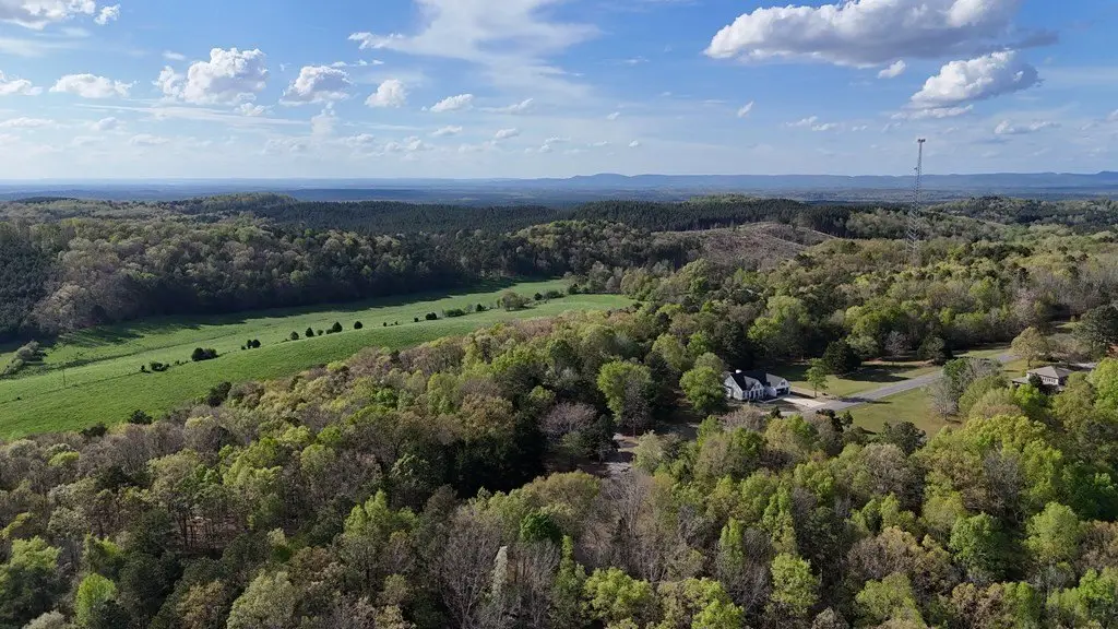 Picture 20