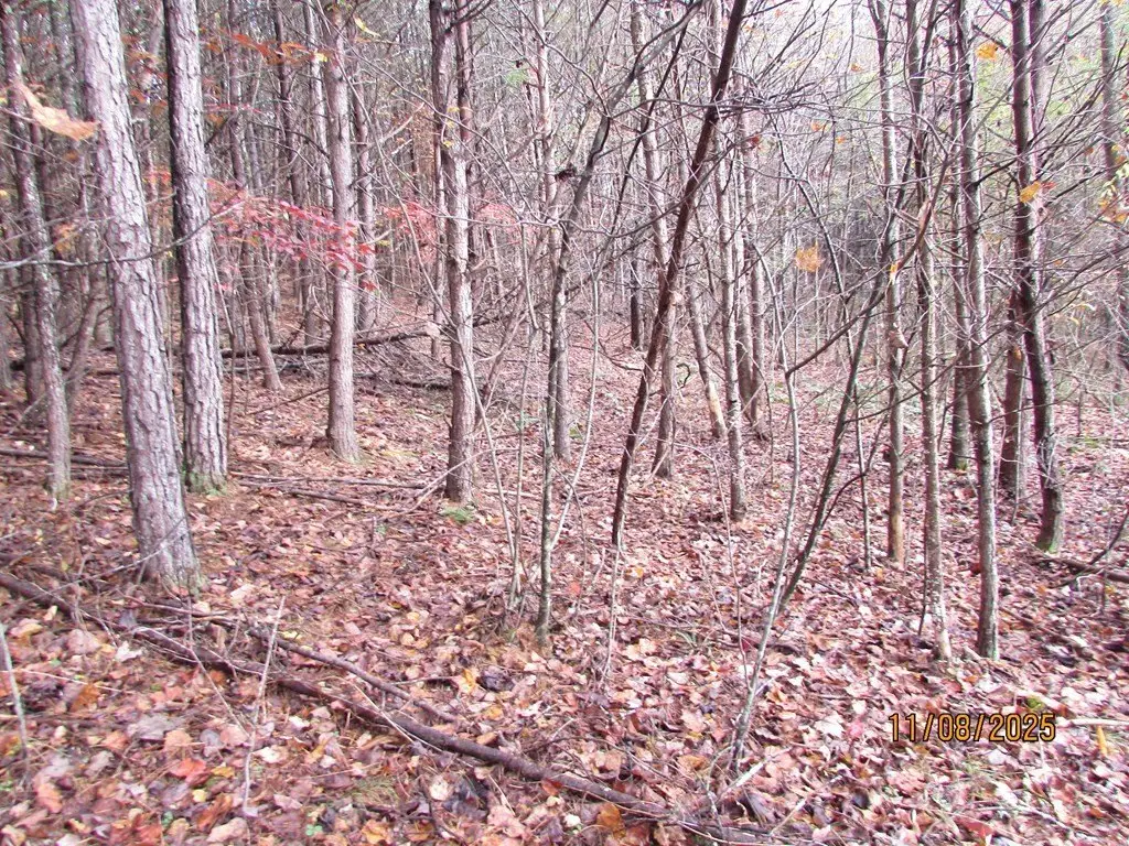 Picture 9