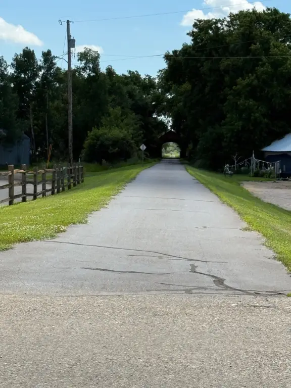 Picture 14