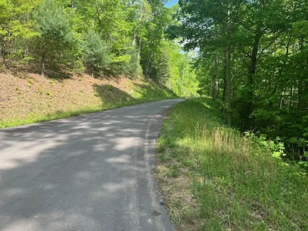 Picture 11