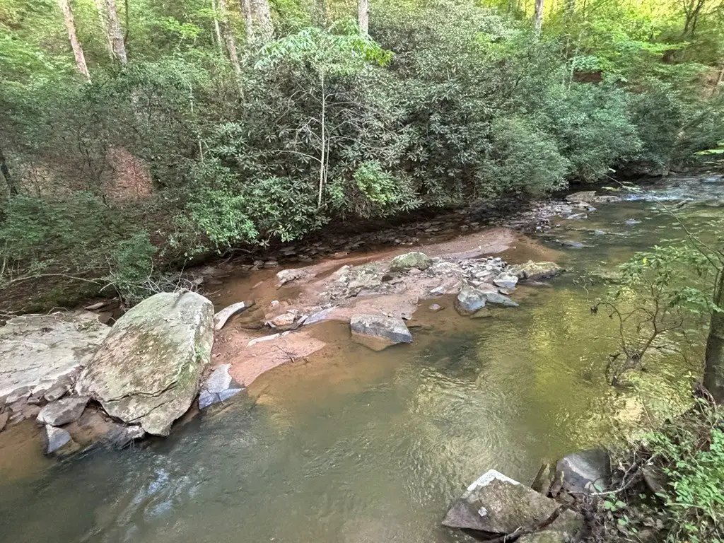 Picture 11