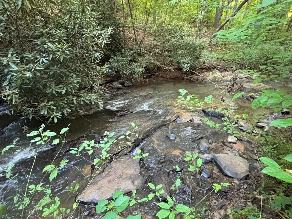 Picture 29