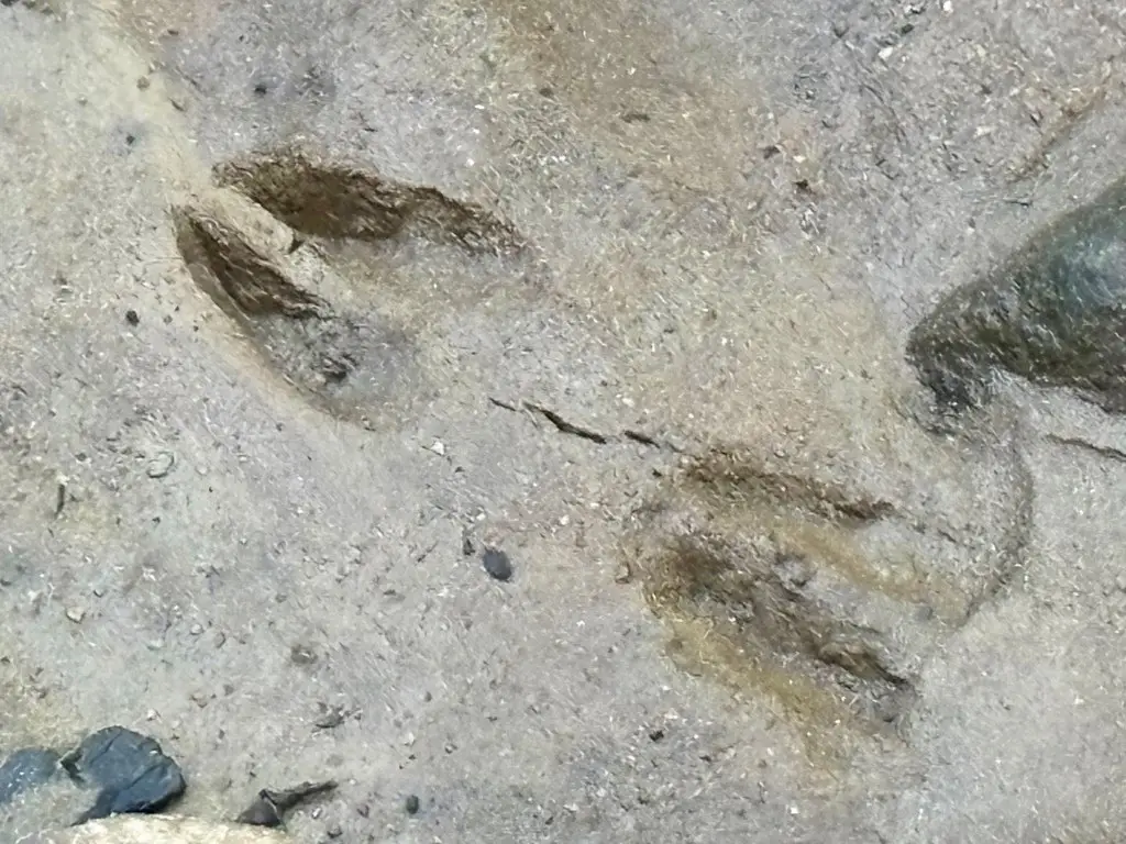 Picture 12