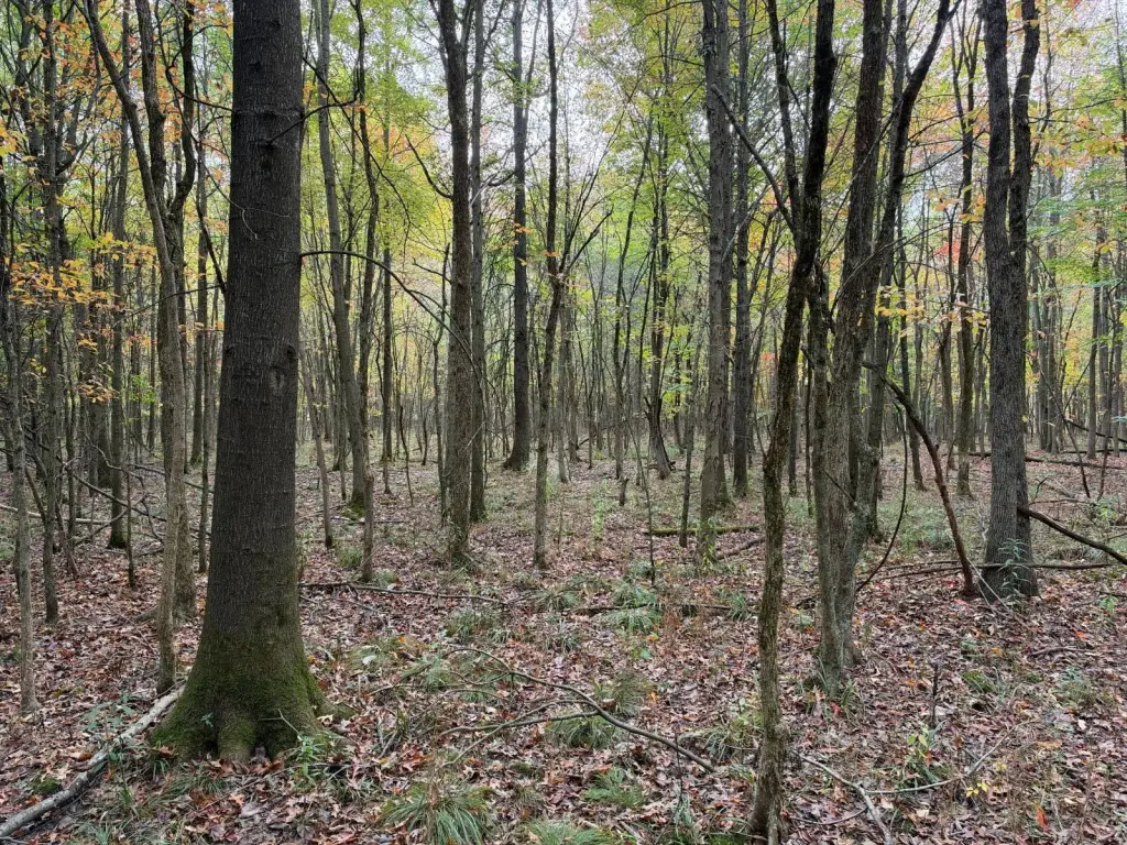 Picture 29