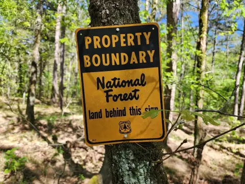 Land Adjoining National Forest
