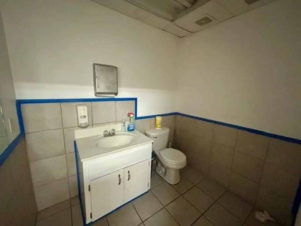 Picture 8