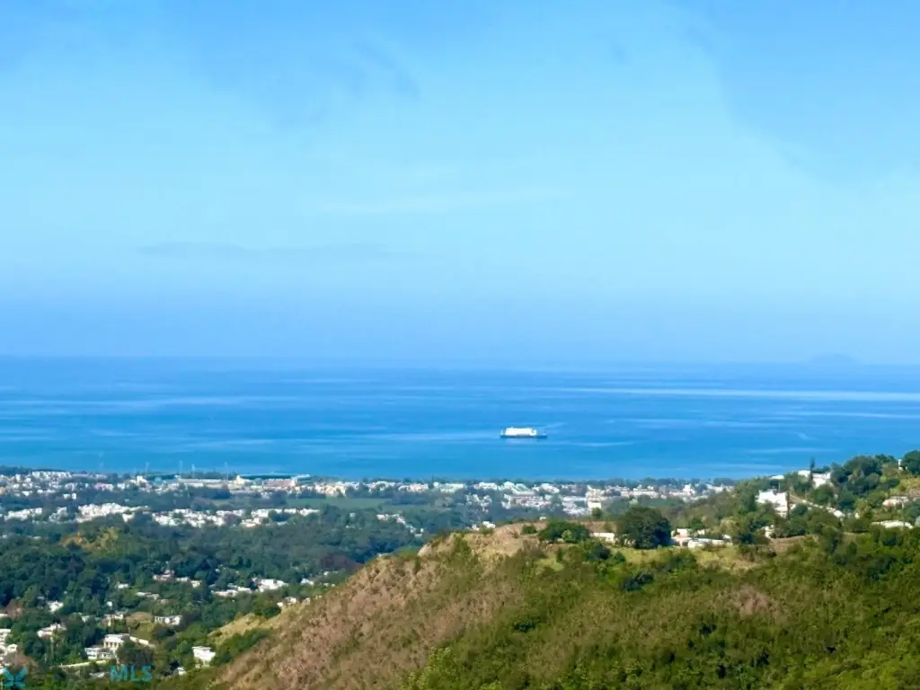 Picture 10