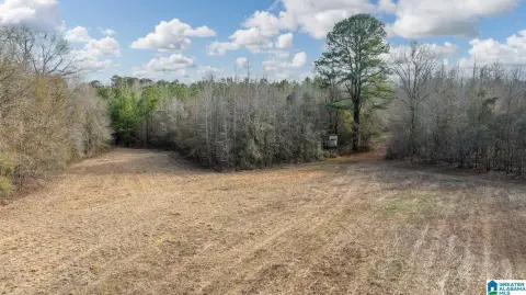 Hale County Hunting and Agricultural Land