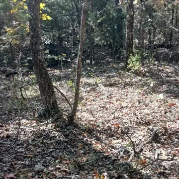 Residential Lot Near Bull Shoals