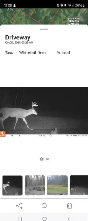 Picture 12