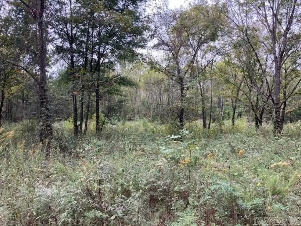 Picture 4