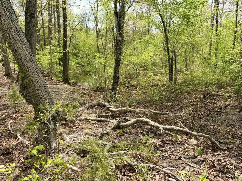 Picture 16