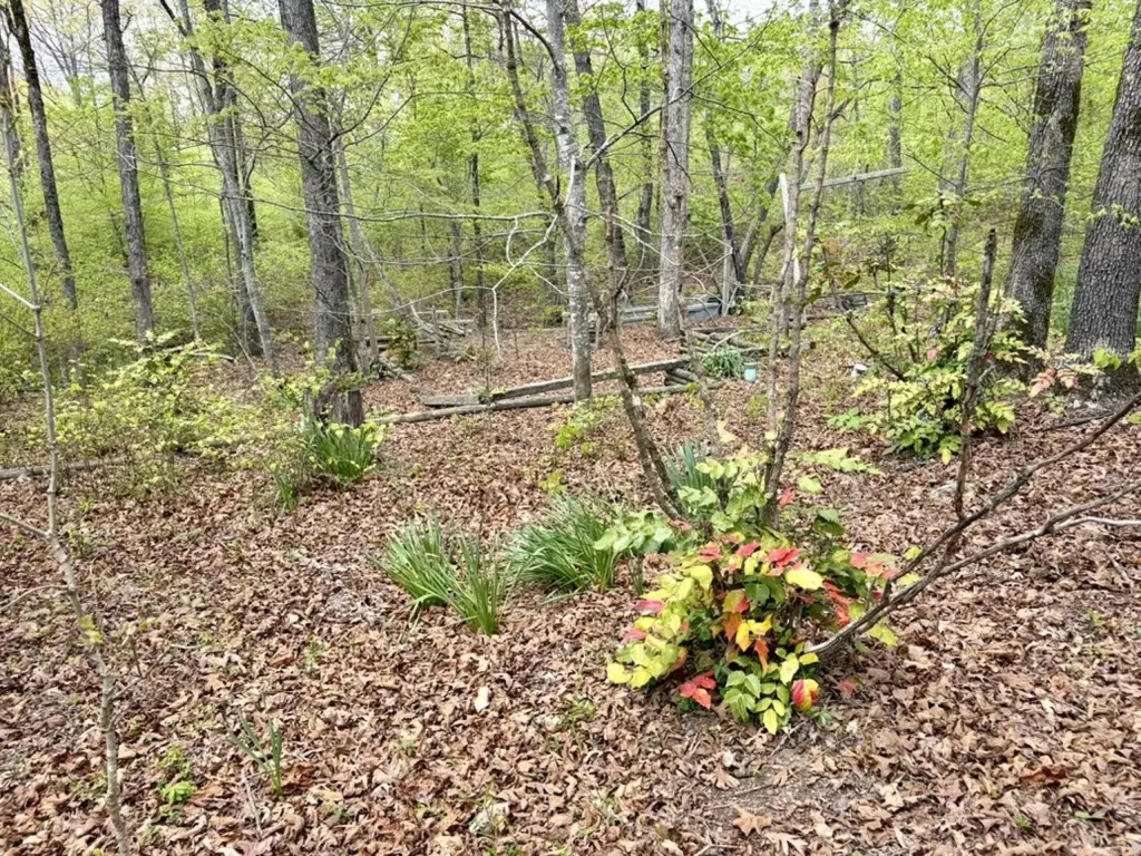 Picture 21