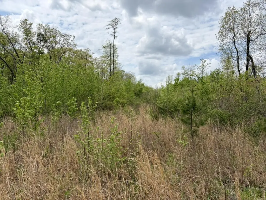 Picture 23