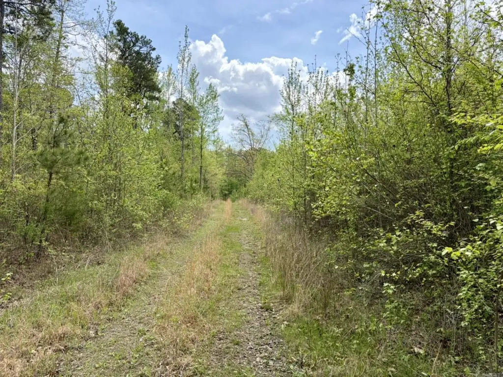 Picture 33