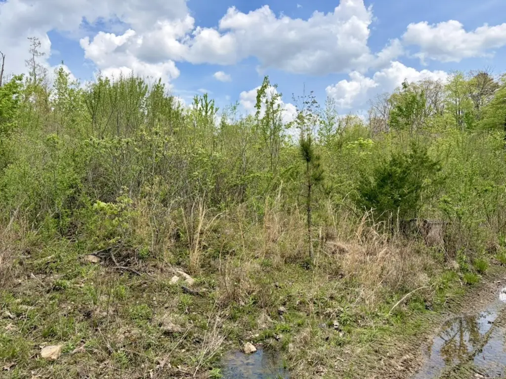 Picture 27