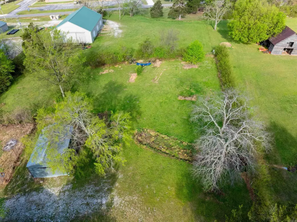 Picture 25